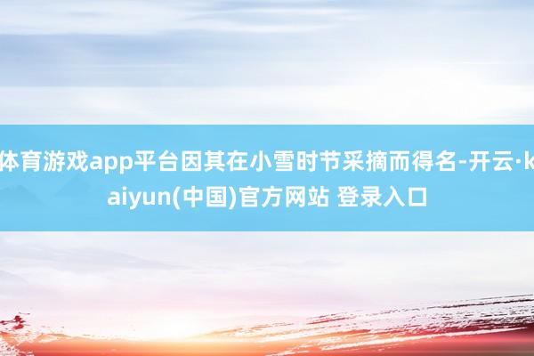 体育游戏app平台因其在小雪时节采摘而得名-开云·kaiyun(中国)官方网站 登录入口